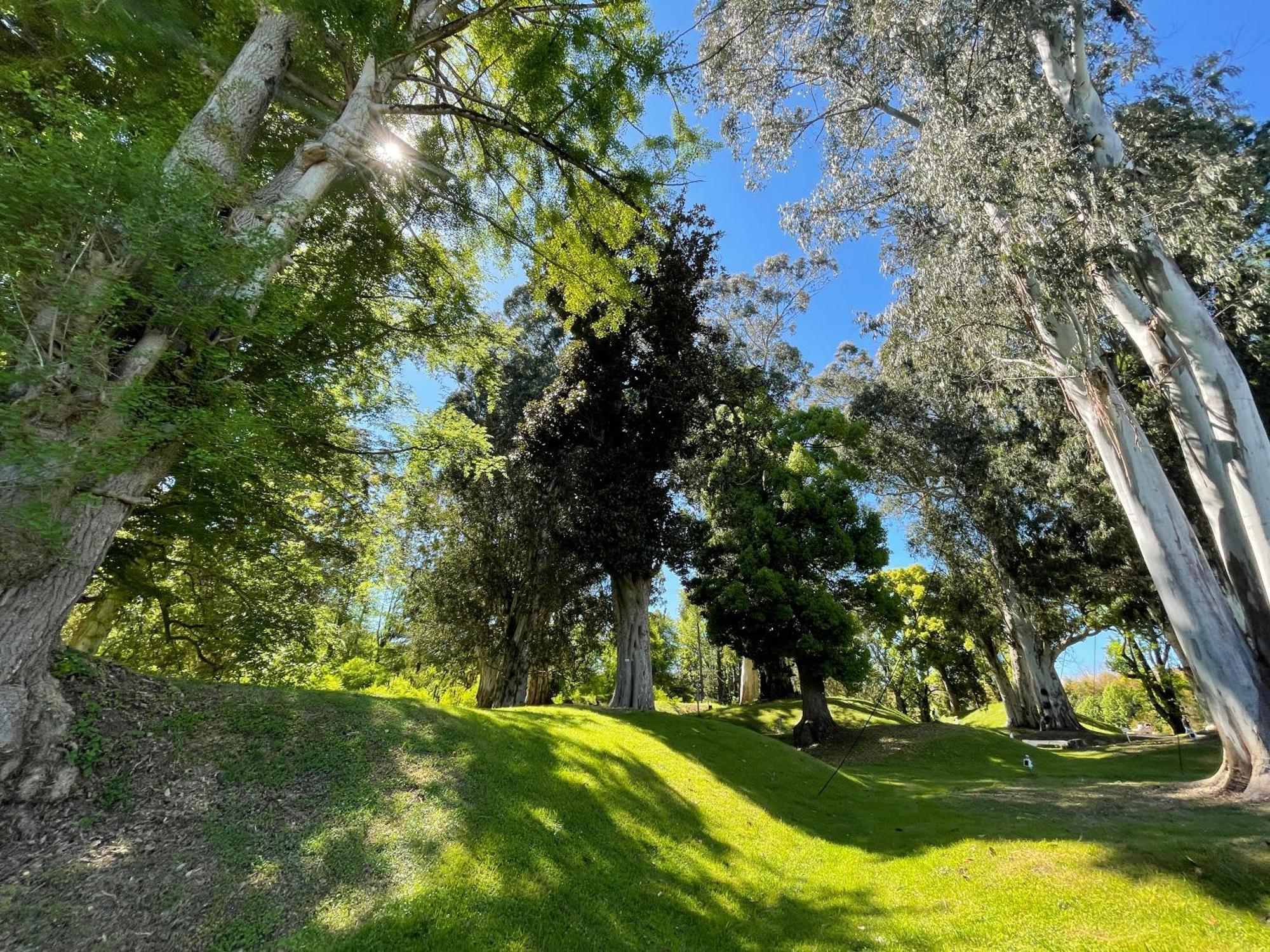 Villa Story Hotel Shekvetili Dış mekan fotoğraf