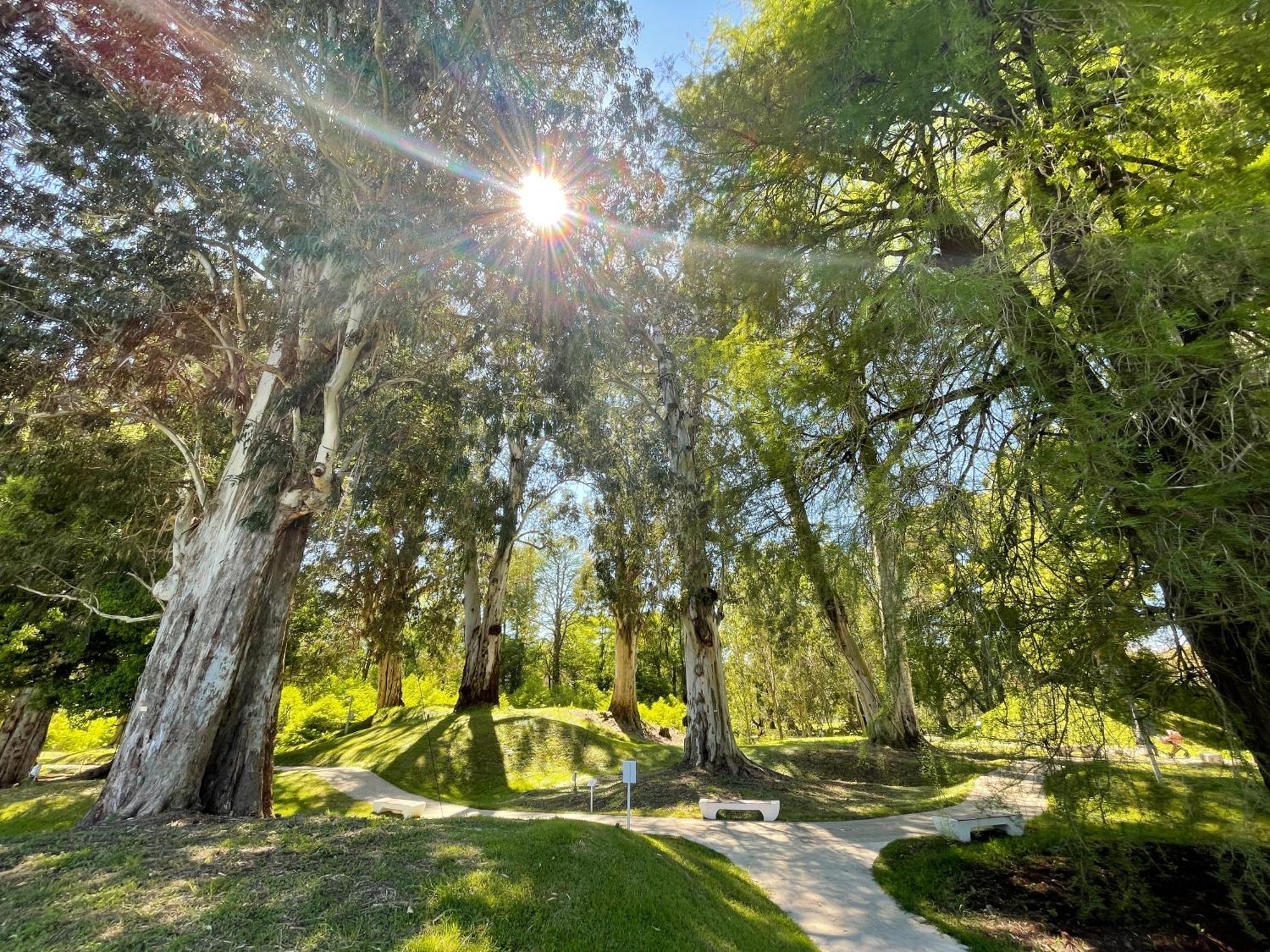Villa Story Hotel Shekvetili Dış mekan fotoğraf